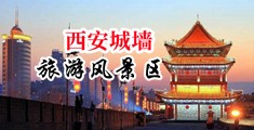 wwwwwwww抖阴中国陕西-西安城墙旅游风景区