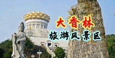 操毛视频中国浙江-绍兴大香林旅游风景区